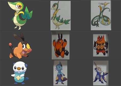 pokemon black starters evolution|pokemon black and white starter guide.